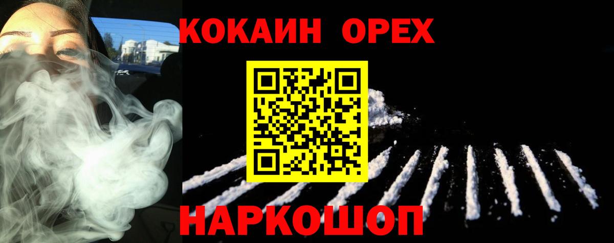 МЕФ Новокузнецк