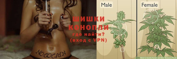 spice Михайлов