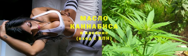 spice Михайлов