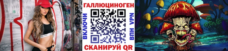 Псилоцибиновые грибы ЛСД  блэк спрут как зайти  Новокузнецк  купить закладку 