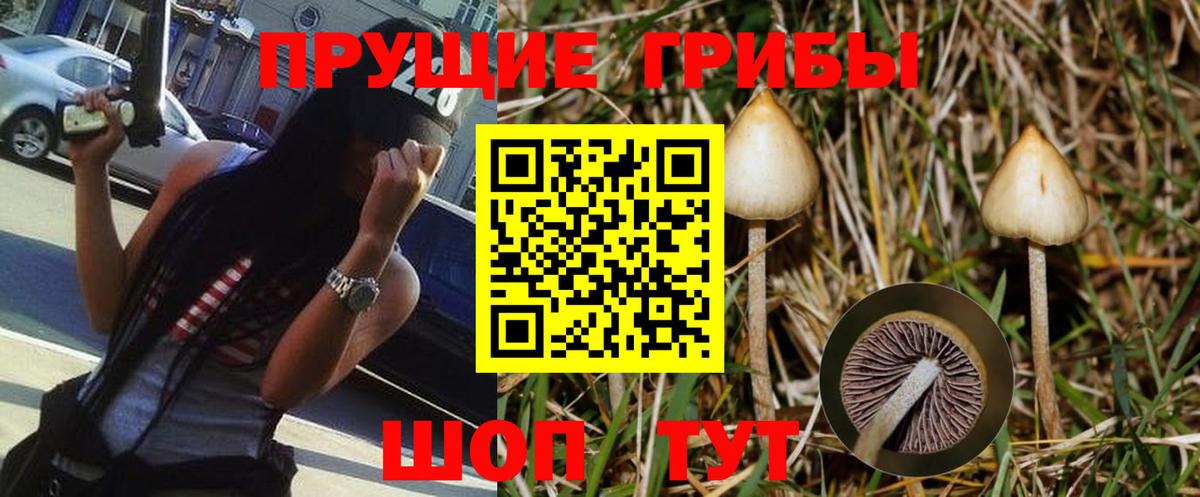 Галлюциногенные грибы Magic Shrooms Новокузнецк