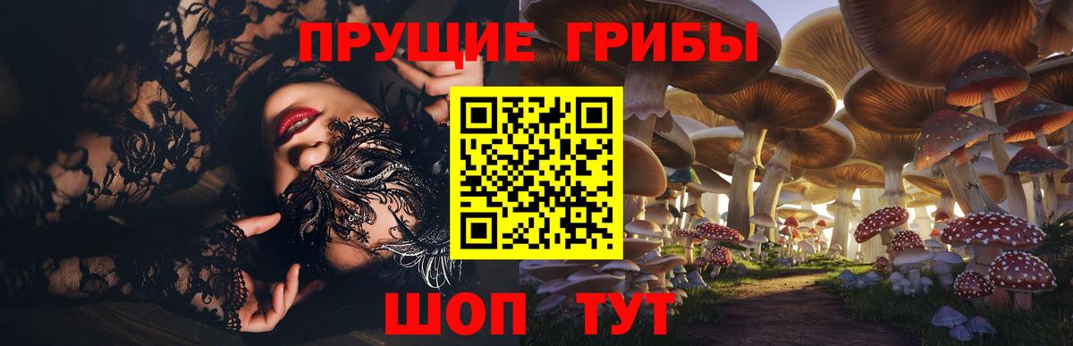 Галлюциногенные грибы MAGIC MUSHROOMS  Новокузнецк  Псилоцибиновые грибы Psilocybe 