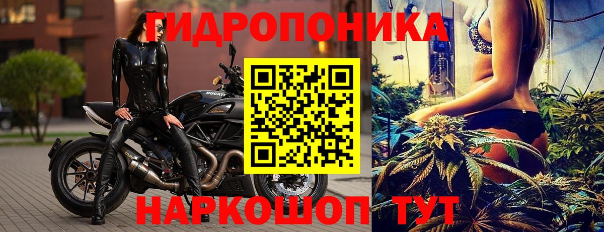 Марихуана марихуана Новокузнецк